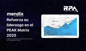 PEAK Matrix para low-code 2025